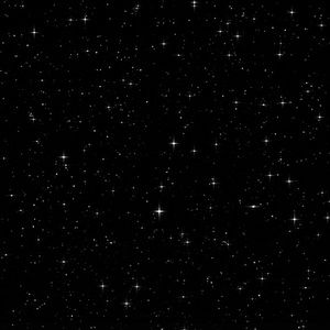 Meet your Posher, Lyn